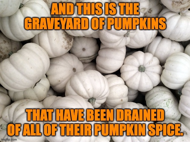 Pumpkin Spice | made w/ Imgflip meme maker