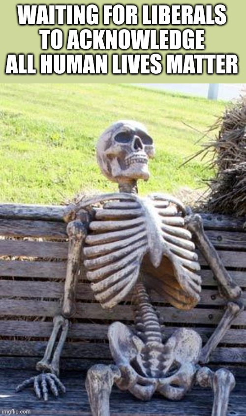 Waiting Skeleton Meme | WAITING FOR LIBERALS TO ACKNOWLEDGE ALL HUMAN LIVES MATTER | image tagged in memes,waiting skeleton | made w/ Imgflip meme maker