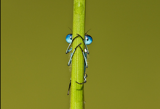 image tagged in nature,photography