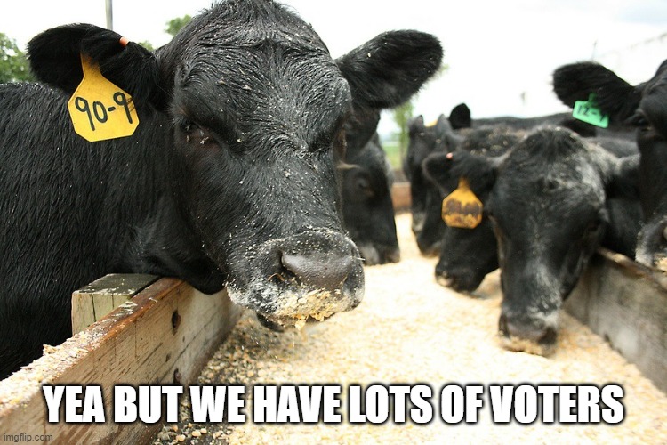 Cow Corn | YEA BUT WE HAVE LOTS OF VOTERS | image tagged in cow corn | made w/ Imgflip meme maker
