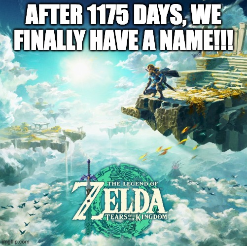 Tears of the Kingdom |  AFTER 1175 DAYS, WE FINALLY HAVE A NAME!!! | image tagged in tears of the kingdom,zelda | made w/ Imgflip meme maker