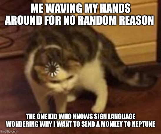 Almost at 20k pls upvote |  ME WAVING MY HANDS AROUND FOR NO RANDOM REASON; THE ONE KID WHO KNOWS SIGN LANGUAGE WONDERING WHY I WANT TO SEND A MONKEY TO NEPTUNE | image tagged in loading cat | made w/ Imgflip meme maker