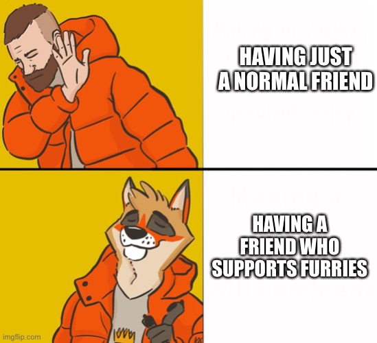 i met someone in school today who supports :) | HAVING JUST A NORMAL FRIEND; HAVING A FRIEND WHO SUPPORTS FURRIES | image tagged in furry drake | made w/ Imgflip meme maker