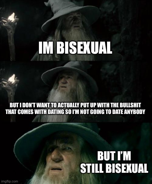 Confused Gandalf | IM BISEXUAL; BUT I DON’T WANT TO ACTUALLY PUT UP WITH THE BULLSHIT THAT COMES WITH DATING SO I’M NOT GOING TO DATE ANYBODY; BUT I’M STILL BISEXUAL | image tagged in memes,confused gandalf,sofreakingconfused | made w/ Imgflip meme maker