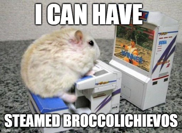 hamster arcade | I CAN HAVE; STEAMED BROCCOLICHIEVOS | image tagged in hamster arcade | made w/ Imgflip meme maker