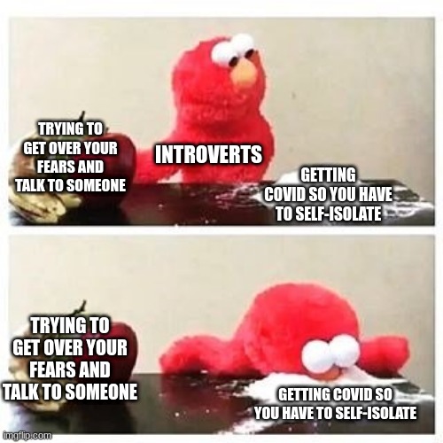 introverts be like | TRYING TO GET OVER YOUR FEARS AND TALK TO SOMEONE; INTROVERTS; GETTING COVID SO YOU HAVE TO SELF-ISOLATE; TRYING TO GET OVER YOUR FEARS AND TALK TO SOMEONE; GETTING COVID SO YOU HAVE TO SELF-ISOLATE | image tagged in elmo cocaine | made w/ Imgflip meme maker