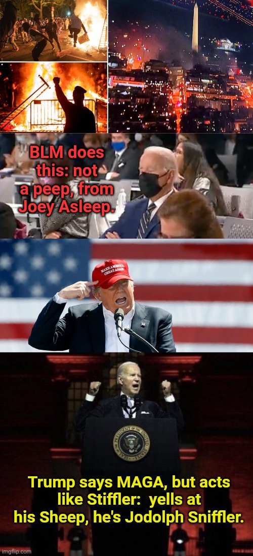 BLM does this: not a peep, from Joey Asleep. Trump says MAGA, but acts like Stiffler:  yells at his Sheep, he's Jodolph Sniffler. | image tagged in dc riot,biden napping,trump maga hat,biden fascist | made w/ Imgflip meme maker