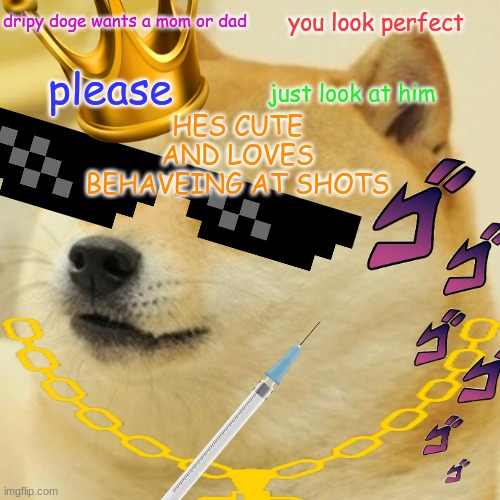 someone adopt him please | dripy doge wants a mom or dad; you look perfect; HES CUTE AND LOVES BEHAVEING AT SHOTS; please; just look at him | image tagged in memes,doge | made w/ Imgflip meme maker