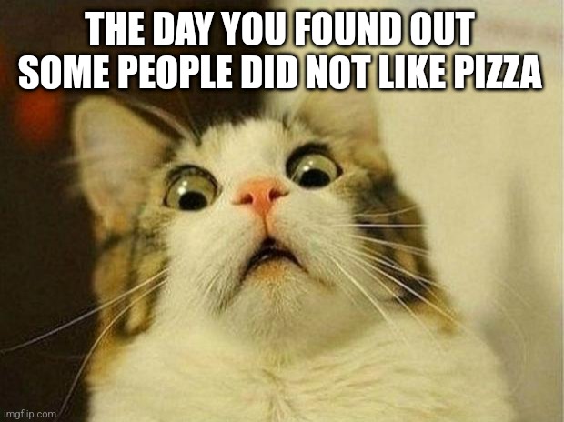 Scared Cat | THE DAY YOU FOUND OUT SOME PEOPLE DID NOT LIKE PIZZA | image tagged in memes,scared cat | made w/ Imgflip meme maker