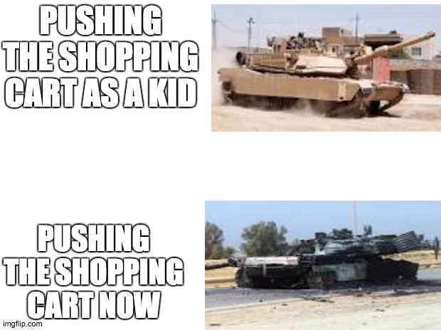 Shopping | PUSHING THE SHOPPING CART AS A KID; PUSHING THE SHOPPING CART NOW | image tagged in memes | made w/ Imgflip meme maker