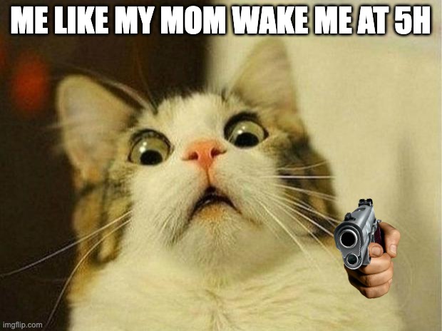 Scared Cat | ME LIKE MY MOM WAKE ME AT 5H | image tagged in memes,scared cat | made w/ Imgflip meme maker