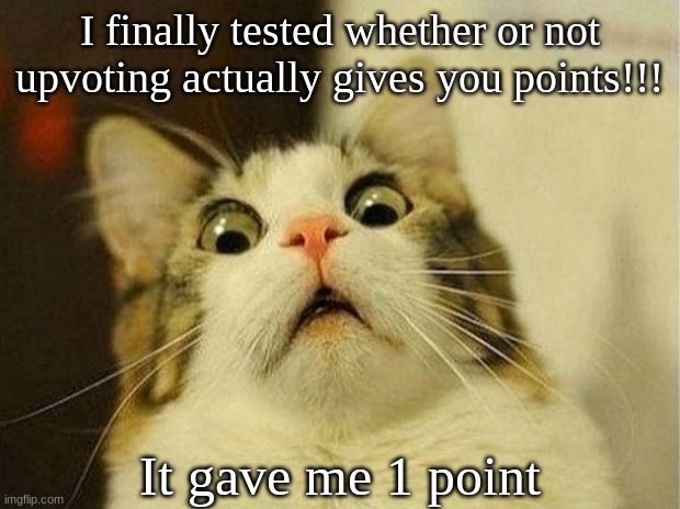 Took forever for me to actually see if it really does lol | I finally tested whether or not upvoting actually gives you points!!! It gave me 1 point | image tagged in memes,scared cat | made w/ Imgflip meme maker