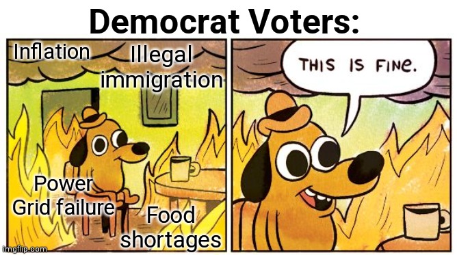 So great they'd go for round two | Democrat Voters:; Inflation; Illegal immigration; Power Grid failure; Food shortages | image tagged in memes,this is fine,democrats,liberals,biden | made w/ Imgflip meme maker