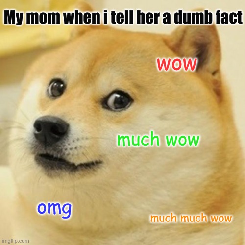 Moms and facts | My mom when i tell her a dumb fact; wow; much wow; omg; much much wow | image tagged in memes,doge | made w/ Imgflip meme maker