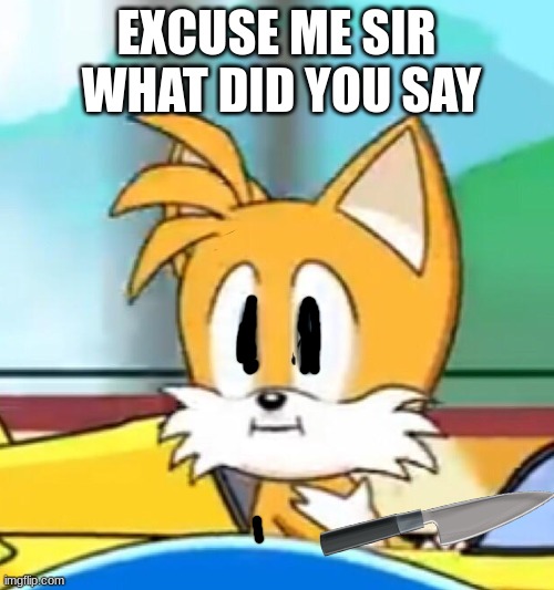 Tails hold up | EXCUSE ME SIR  WHAT DID YOU SAY | image tagged in tails hold up | made w/ Imgflip meme maker