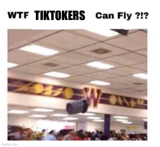 WTF --------- Can Fly ?!? | TIKTOKERS | image tagged in wtf --------- can fly | made w/ Imgflip meme maker