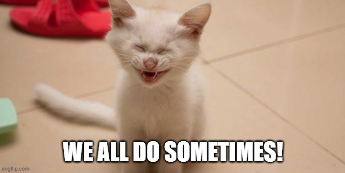 Cat Laughing | WE ALL DO SOMETIMES! | image tagged in cat laughing | made w/ Imgflip meme maker