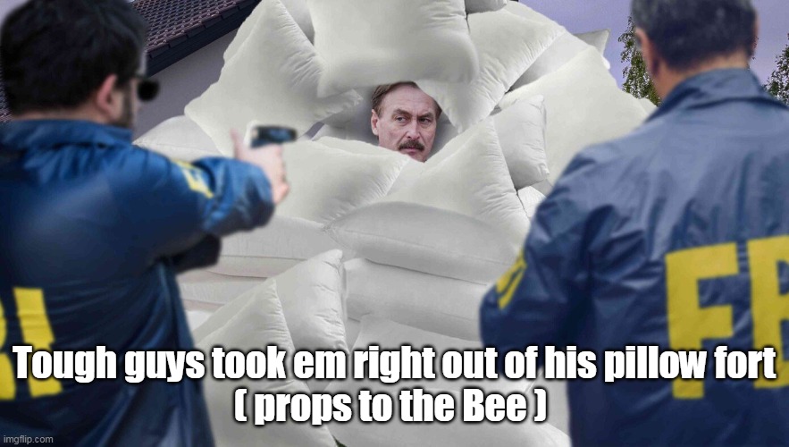 Tough guys took em right out of his pillow fort
( props to the Bee ) | made w/ Imgflip meme maker