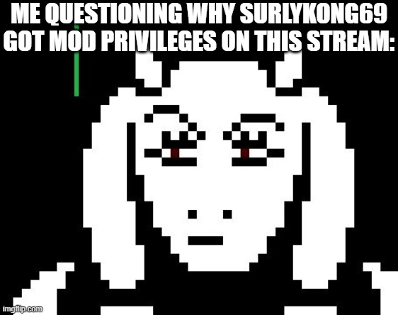 ... | ME QUESTIONING WHY SURLYKONG69 GOT MOD PRIVILEGES ON THIS STREAM: | image tagged in undertale - toriel,pies,undertale,toriel | made w/ Imgflip meme maker