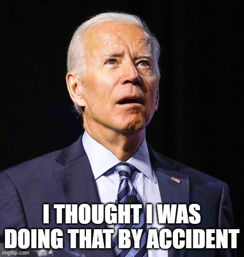 Joe Biden | I THOUGHT I WAS DOING THAT BY ACCIDENT | image tagged in joe biden | made w/ Imgflip meme maker