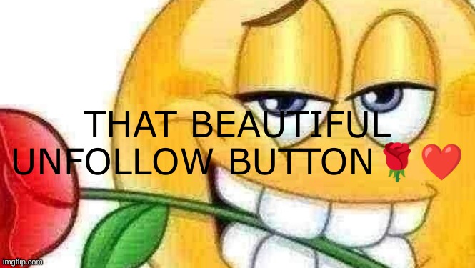 your fat boobies | THAT BEAUTIFUL UNFOLLOW BUTTON🌹❤ | image tagged in your fat boobies | made w/ Imgflip meme maker