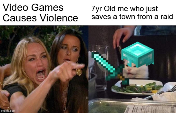 Video Games | Video Games Causes Violence; 7yr Old me who just saves a town from a raid | image tagged in memes,woman yelling at cat | made w/ Imgflip meme maker