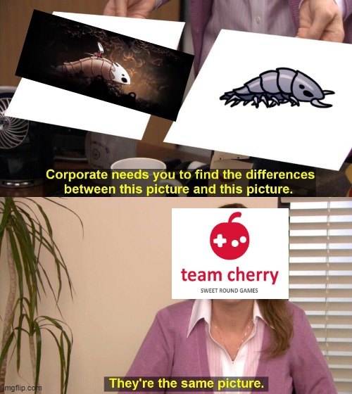 They are the same picture | image tagged in they are the same picture,HollowKnightMemes | made w/ Imgflip meme maker