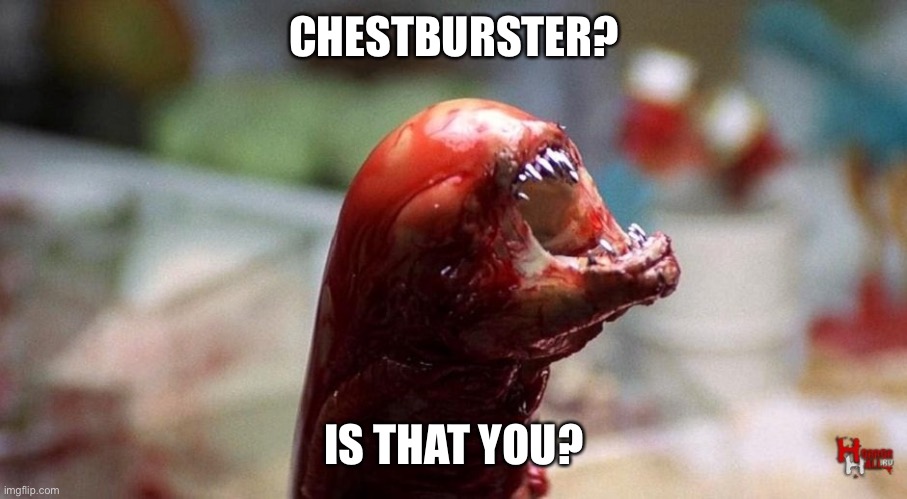 Chestburster | CHESTBURSTER? IS THAT YOU? | image tagged in chestburster | made w/ Imgflip meme maker
