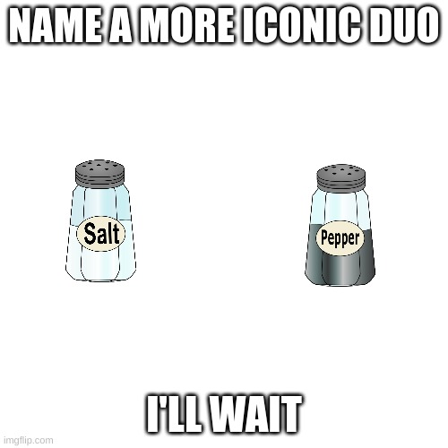 Blank Transparent Square Meme | NAME A MORE ICONIC DUO; I'LL WAIT | image tagged in memes,blank transparent square | made w/ Imgflip meme maker