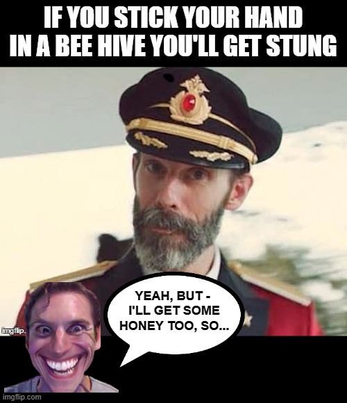 What Price Honey? | IF YOU STICK YOUR HAND IN A BEE HIVE YOU'LL GET STUNG; YEAH, BUT - 
I'LL GET SOME HONEY TOO, SO... | image tagged in captain obvious,honey,bees,bee hive,memes,obviously | made w/ Imgflip meme maker