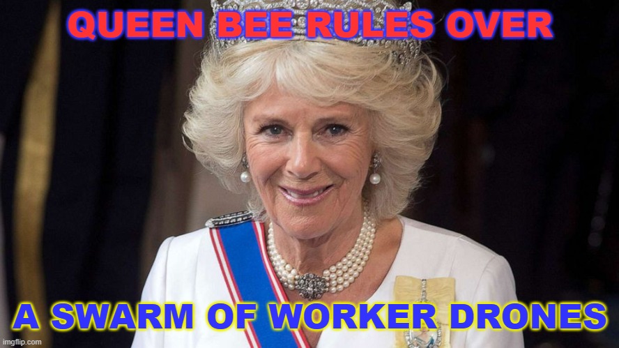 Queen Bee rules over a swarm of worker drones | QUEEN BEE RULES OVER; A SWARM OF WORKER DRONES | image tagged in camilla | made w/ Imgflip meme maker