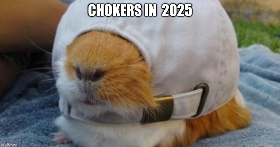 :) | CHOKERS IN  2025 | image tagged in guinea pig | made w/ Imgflip meme maker