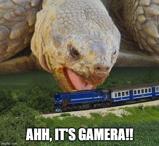 AHHH, IT'S GAMERA | AHH, IT'S GAMERA!! | image tagged in turtle,kaiju,train,model,monster,pet | made w/ Imgflip meme maker