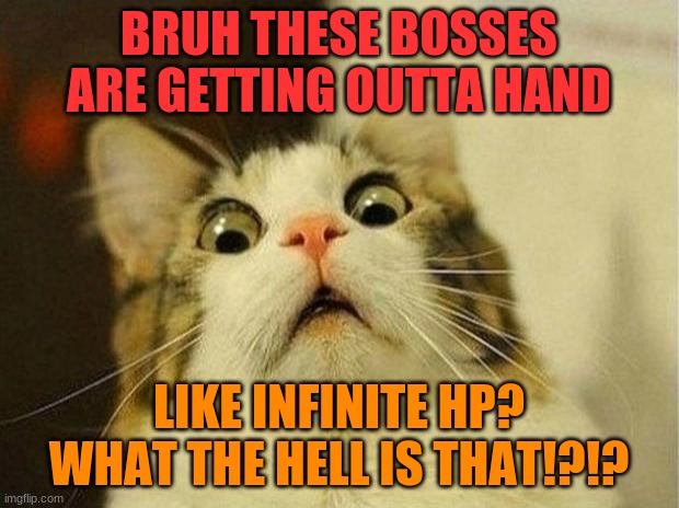 (evil-ish note: I told eggsman infinite HP is cheating) | BRUH THESE BOSSES ARE GETTING OUTTA HAND; LIKE INFINITE HP? WHAT THE HELL IS THAT!?!? | image tagged in memes,scared cat | made w/ Imgflip meme maker