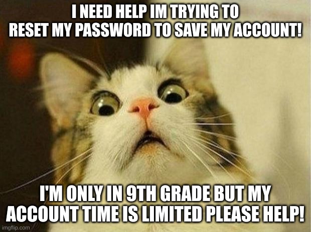Pls help | I NEED HELP I'M TRYING TO RESET MY PASSWORD TO SAVE MY ACCOUNT! I'M ONLY IN 9TH GRADE BUT MY ACCOUNT TIME IS LIMITED PLEASE HELP! | image tagged in memes,scared cat | made w/ Imgflip meme maker