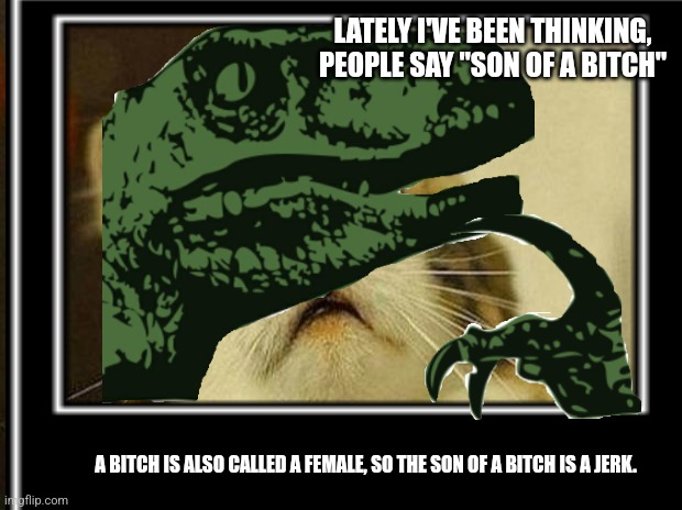 Hmm | LATELY I'VE BEEN THINKING, PEOPLE SAY "SON OF A BITCH"; A BITCH IS ALSO CALLED A FEMALE, SO THE SON OF A BITCH IS A JERK. | image tagged in funny,memes,philosoraptor | made w/ Imgflip meme maker