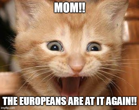 Excited Cat Meme |  MOM!! THE EUROPEANS ARE AT IT AGAIN!! | image tagged in memes,excited cat | made w/ Imgflip meme maker