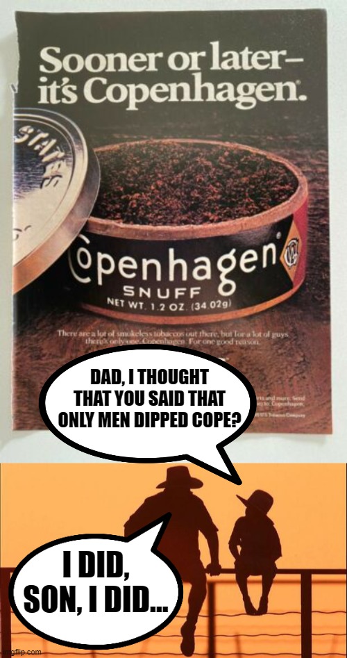 DAD, I THOUGHT THAT YOU SAID THAT ONLY MEN DIPPED COPE? I DID, SON, I DID... | image tagged in cowboy father and son | made w/ Imgflip meme maker