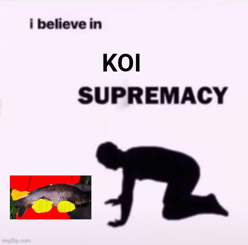 I believe in supremacy | KOI | image tagged in i believe in supremacy | made w/ Imgflip meme maker