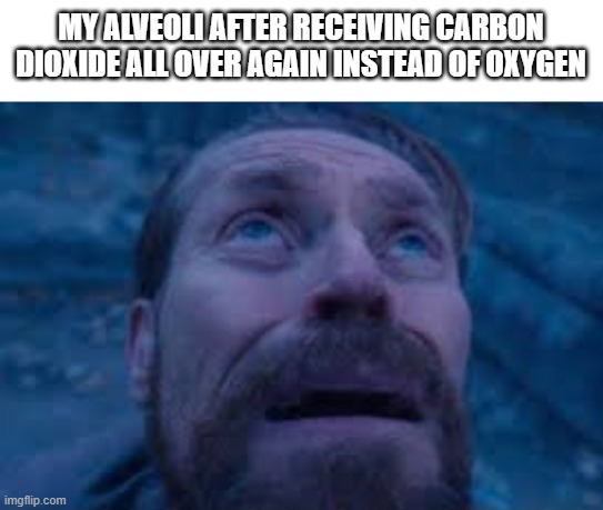 Meme Jpeg | MY ALVEOLI AFTER RECEIVING CARBON DIOXIDE ALL OVER AGAIN INSTEAD OF OXYGEN | image tagged in william dafoe looks up | made w/ Imgflip meme maker