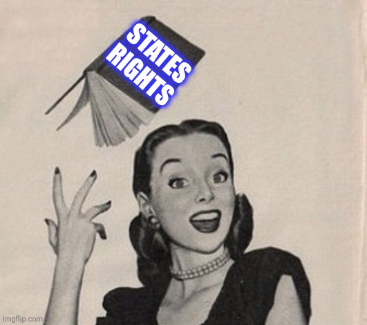 STATES RIGHTS | made w/ Imgflip meme maker