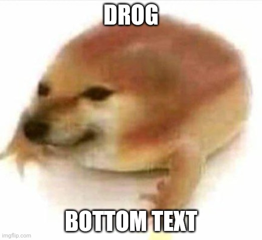 Drog | DROG; BOTTOM TEXT | image tagged in cheems frog | made w/ Imgflip meme maker