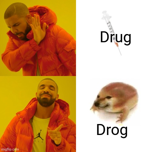 Drug Bad; Drog Good (mod note: why yes, frog) | Drug Drog | image tagged in memes,drake hotline bling,funny,frog,cheems | made w/ Imgflip meme maker