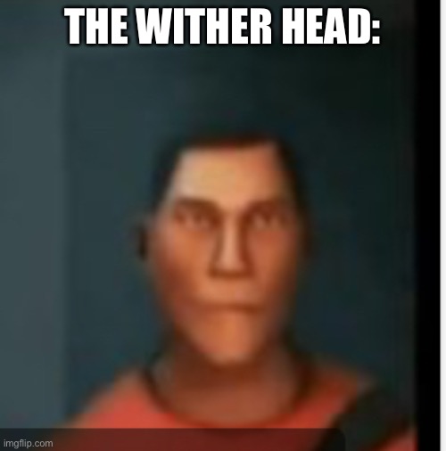 What… | THE WITHER HEAD: | image tagged in what | made w/ Imgflip meme maker