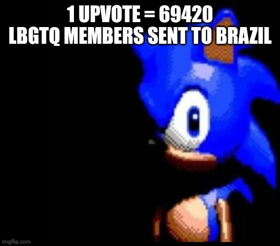 Sonic stares | 1 UPVOTE = 69420 LBGTQ MEMBERS SENT TO BRAZIL | image tagged in sonic stares | made w/ Imgflip meme maker