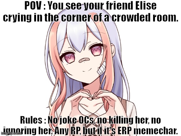 POV : You see your friend Elise crying in the corner of a crowded room. Rules : No joke OCs, no killing her, no ignoring her. Any RP, but if it's ERP memechar. | made w/ Imgflip meme maker