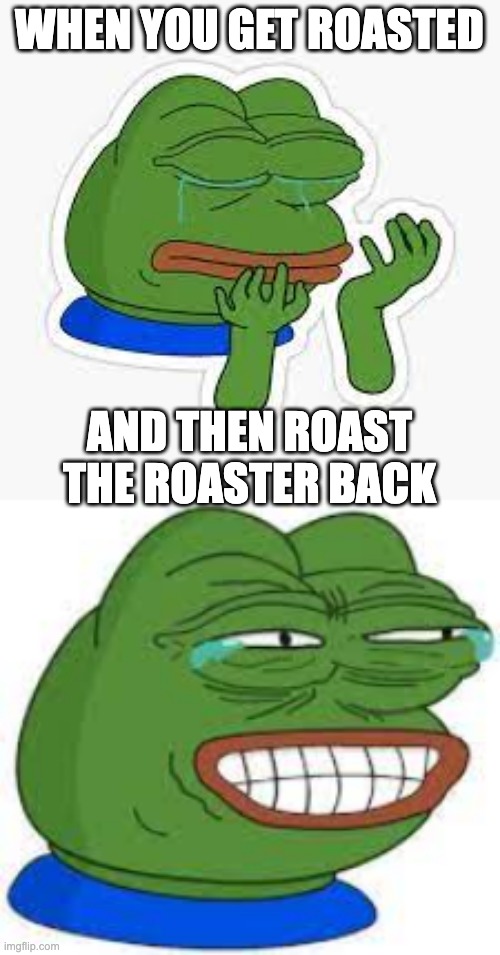 When You Get Roasted Then Roast The Roaster Back | WHEN YOU GET ROASTED; AND THEN ROAST THE ROASTER BACK | image tagged in funny,funny memes,funny meme,sad | made w/ Imgflip meme maker