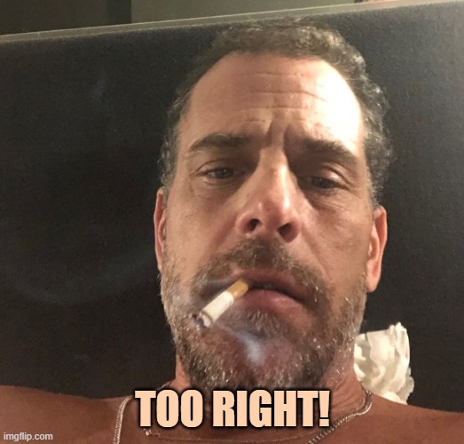 Hunter Biden | TOO RIGHT! | image tagged in hunter biden | made w/ Imgflip meme maker