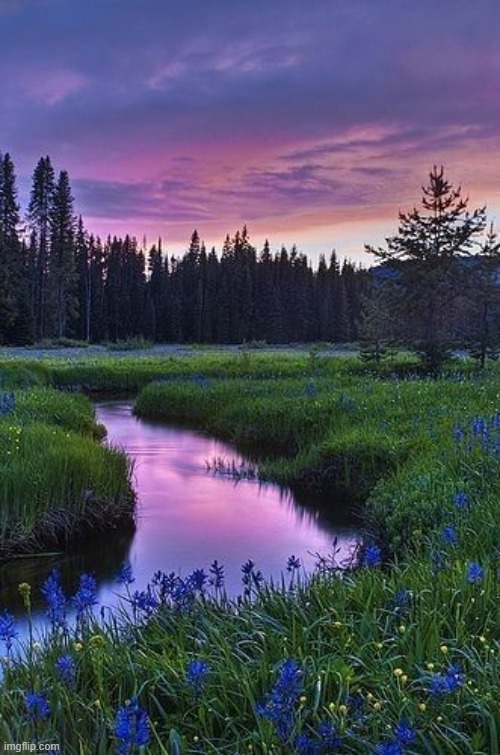 image tagged in awesome | made w/ Imgflip meme maker