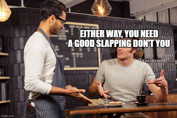 Waiter angry patron | EITHER WAY, YOU NEED A GOOD SLAPPING DON'T YOU | image tagged in waiter angry patron | made w/ Imgflip meme maker